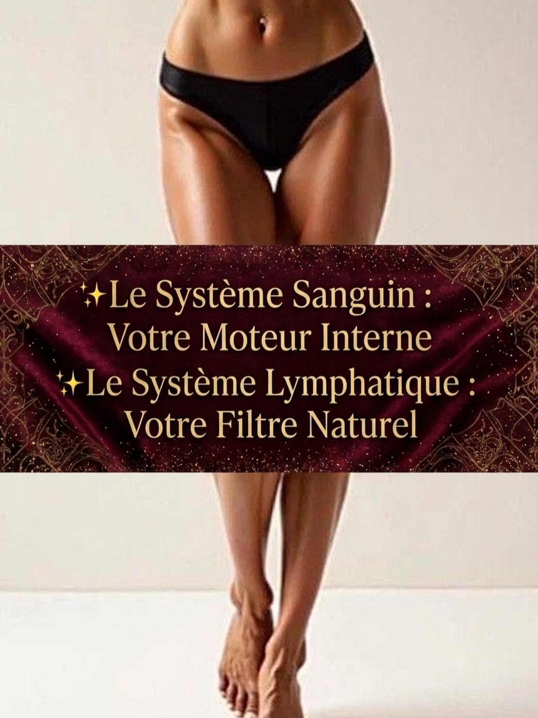 Système sanguin lymphatique circulation corps santé bien-être